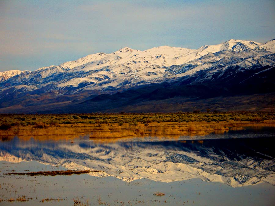 View of the White Mountains from the Owens Valley
