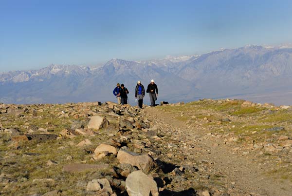 Sierra Nevada in background